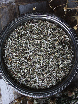 Ritual Herbs - Skullcap