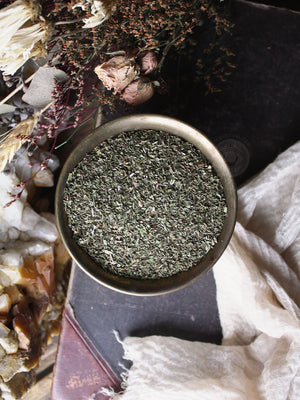 Ritual Herbs - Spearmint Leaf
