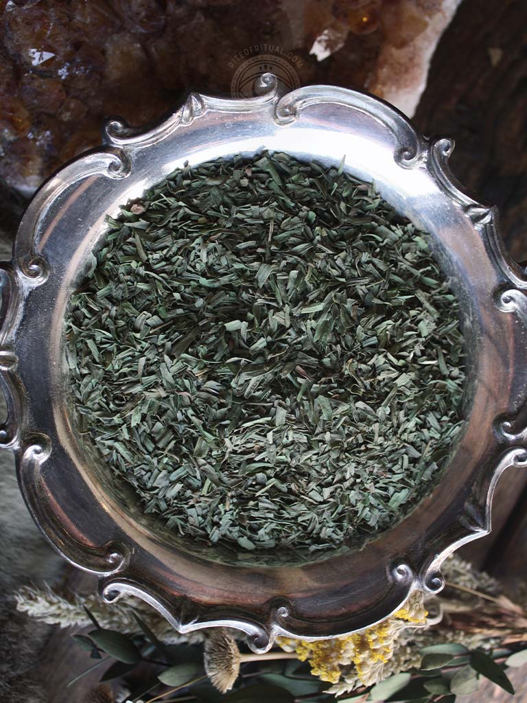 Ritual Herbs - Tarragon Leaf