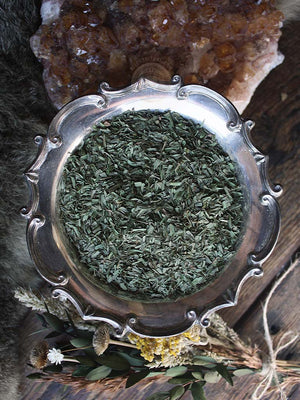 Ritual Herbs - Tarragon Leaf