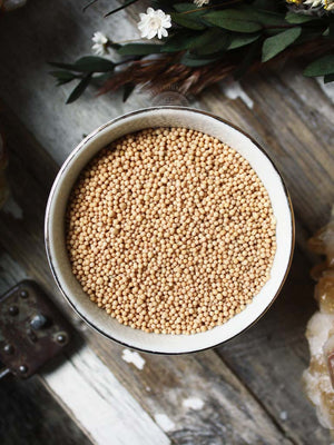 Ritual Herbs - Yellow Mustard Seed