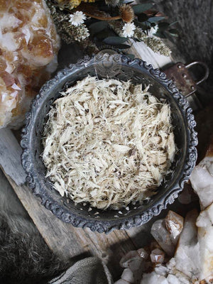 Ritual Herbs - Yucca Root