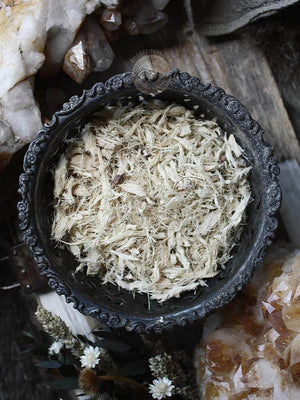Ritual Herbs - Yucca Root