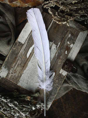 Ritual Use Feathers