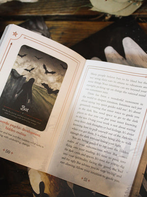 Seasons of the Witch Samhain Oracle