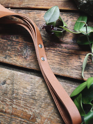 Simply Sweet Vegan Leather Plant Hangers