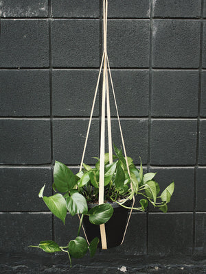 Simply Sweet Vegan Leather Plant Hangers