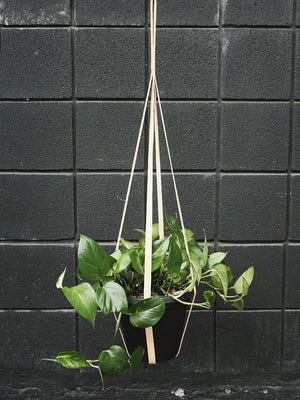 Your Plants New Bestie - Vegan Leather Plant Hangers