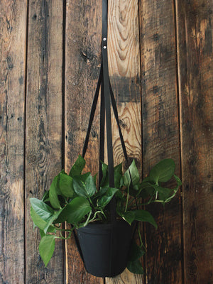 Simply Sweet Vegan Leather Plant Hangers
