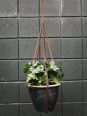 Simply Sweet Vegan Leather Plant Hangers