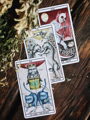 Tarot Cats Deck
