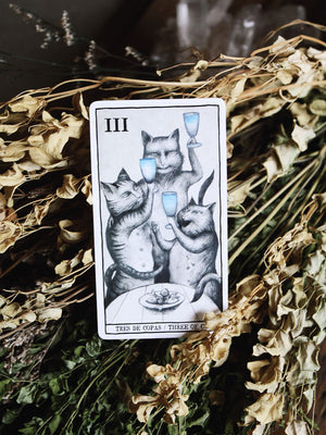Tarot Cats Deck