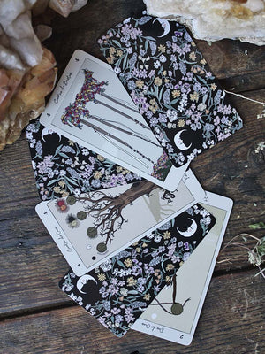 Tarot de Carlotydes Deck