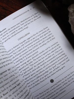 The Corona Transmissions