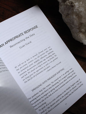 The Corona Transmissions