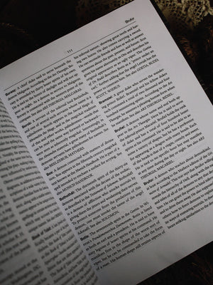 The Dictionary of Demons