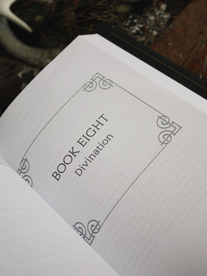 The Golden Dawn by John Michael Greer