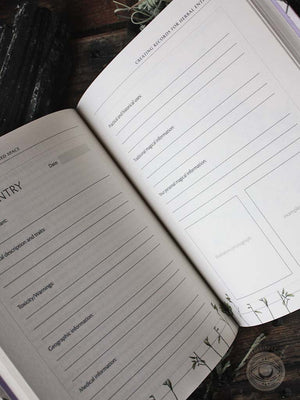 The Green Witch's Garden