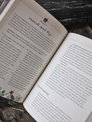 The Green Witch's Garden