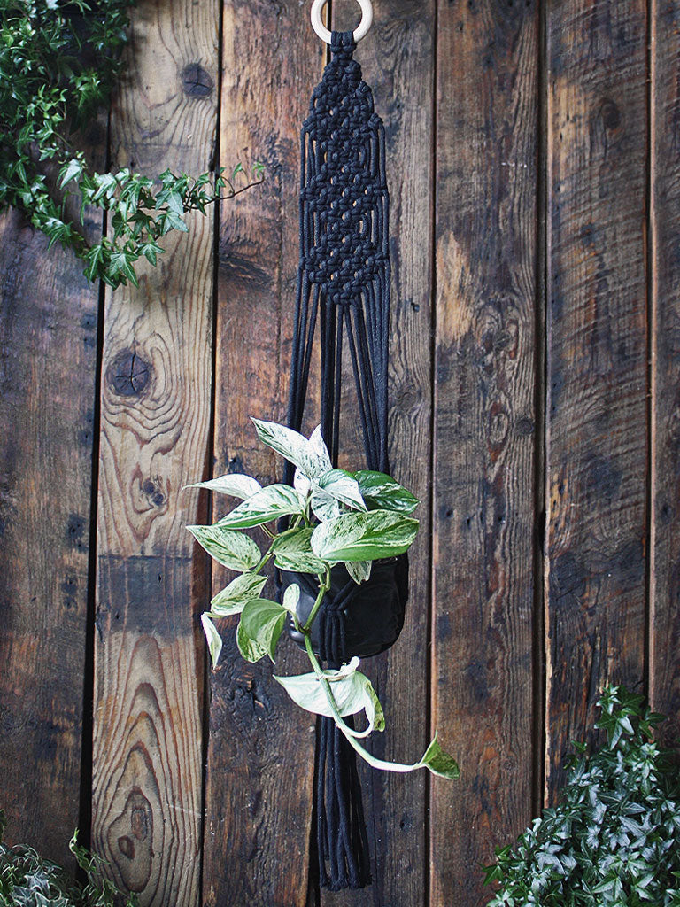 The Green Witch's Macrame Plant Hangers - Style 1