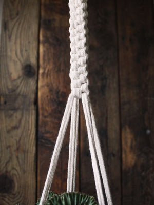 The Green Witch's Macrame Plant Hangers - Style 15