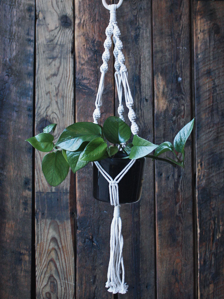 The Green Witch's Macrame Plant Hangers - Style 17