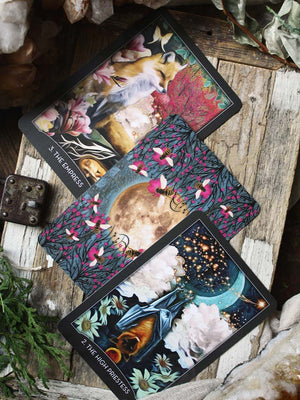 The Guardian of the Night Tarot