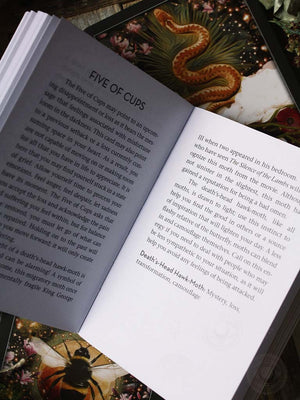 The Guardian of the Night Tarot