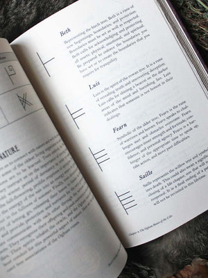 Modern Witchcraft Guide to Runes