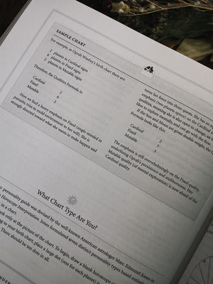 The Only Astrology Book You Will Ever Need