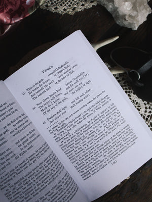 The Poetic Edda - The Mythological Poems