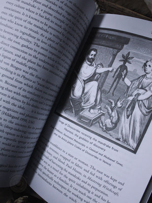 The Poison Path Herbal