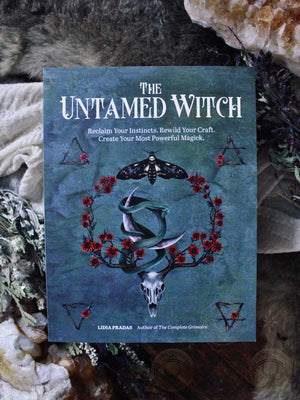 The Untamed Witch