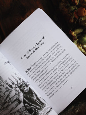 The Witch's Book of Shadows