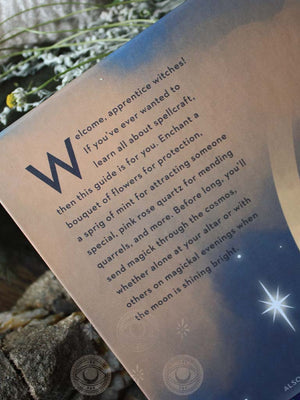 The Young Witch's Guide to Magick