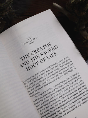 Think Indigenous - Native American Spirituality for a Modern World