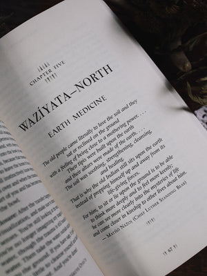 Think Indigenous - Native American Spirituality for a Modern World