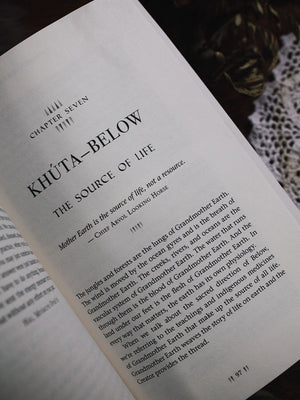 Think Indigenous - Native American Spirituality for a Modern World