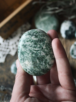 Tree Agate Palm + Pocket Stones