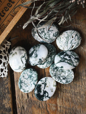 Tree Agate Palm + Pocket Stones