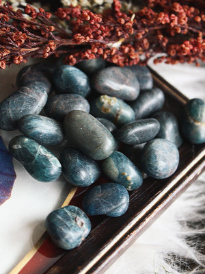 Tumbled Blue Apatite