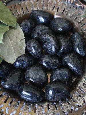 Tumbled Astrophyllite