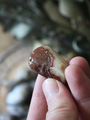 Tumbled Crazy Lace Agate