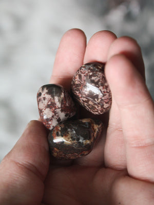 Tumbled Tiger Jasper