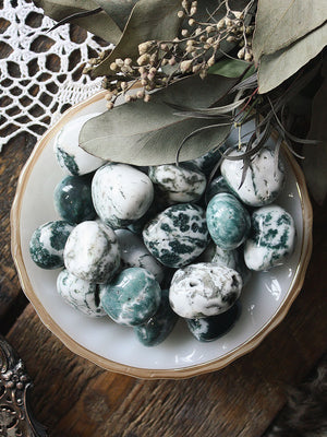 Tumbled Tree Agate
