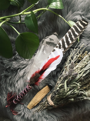 Handcrafted Ritual Cleansing Feathers