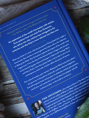 Waking the Witch Book