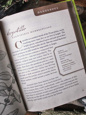 Wicked Plants - The Weed That Killed Lincoln's Mother and Other Botanical Atrocities