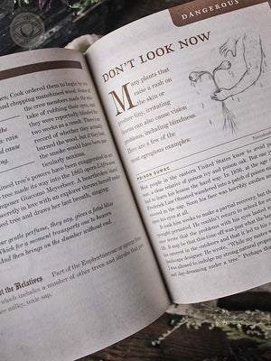 Wicked Plants - The Weed That Killed Lincoln's Mother and Other Botanical Atrocities