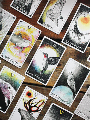 Wild Unknown Animal Spirit Deck and Guidebook